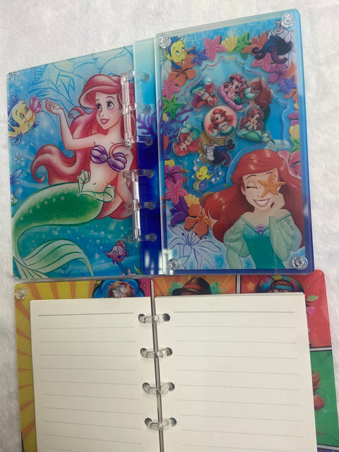 Acrylic shake book